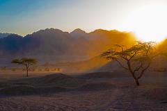 Ägypten, Sharm El Sheikh