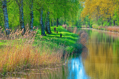Elde-Müritz-Wasserstraße, Spaziergänger, Hunde