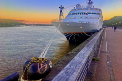 MS Hamburg