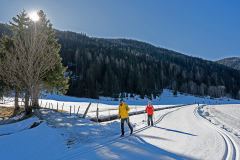 Nockberge/Winter