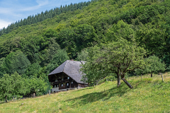 Der hystorische Jockelehof (Schwarzwaldhaus)