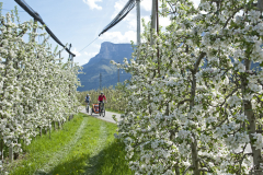 Südtirol, Lana und Umgebung