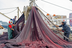 Griechenland, Kavala, Hafen, Arbeiter, Fischernetz einladen