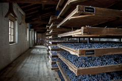 Valpolicella Weinanbaugebiet nahe Verona